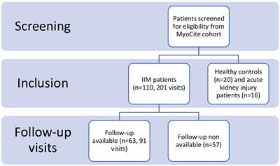 Renal injury, biomarkers, and myositis, an understudied aspect of disease: prospective study in the MyoCite cohort